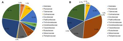 Mycorrhizal Associations and Trophic Modes in Coexisting Orchids: An Ecological Continuum between Auto- and Mixotrophy